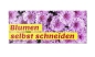 Mobile Preview: Motivbanner Blumen selbst schneiden Chrysanthemen Nr. 2