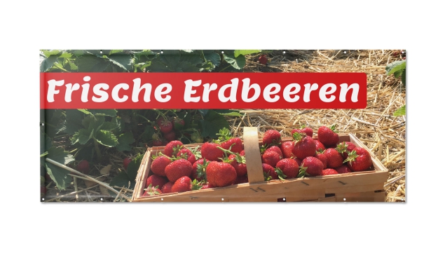 Motivbanner Frische Erdbeeren Nr. 3
