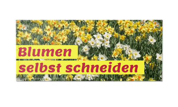 Motivbanner Blumen Narzissen
